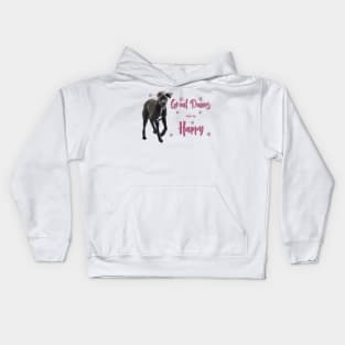 Great Danes make me Happy! Especially for Great Dane owners! Kids Hoodie